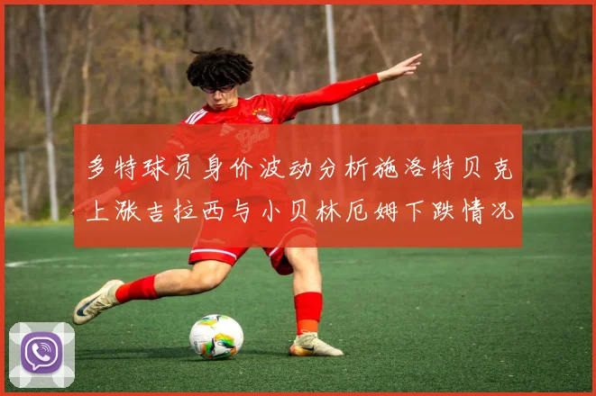 多特球员身价波动分析施洛特贝克上涨吉拉西与小贝林厄姆下跌情况解读