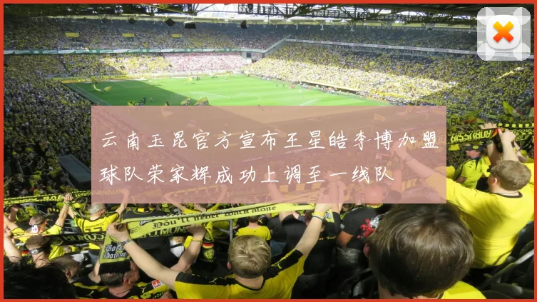 云南玉昆官方宣布王星皓李博加盟球队荣家辉成功上调至一线队