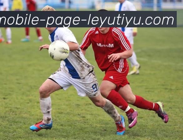 乐鱼体育APP 高清赛事图